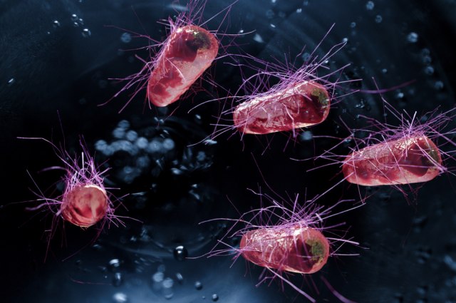 Superbakterije se šire: Tiha pandemija u toku, ubiće milione